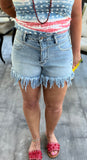 Medium Denim High Rise Frayed Shorts S-L