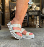 Glitzy Crystal Wedges in Silver