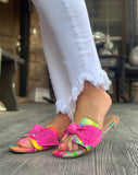 Daphne in Multi 5.5-6.5