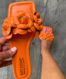 Orange Blossom Slides/Restock